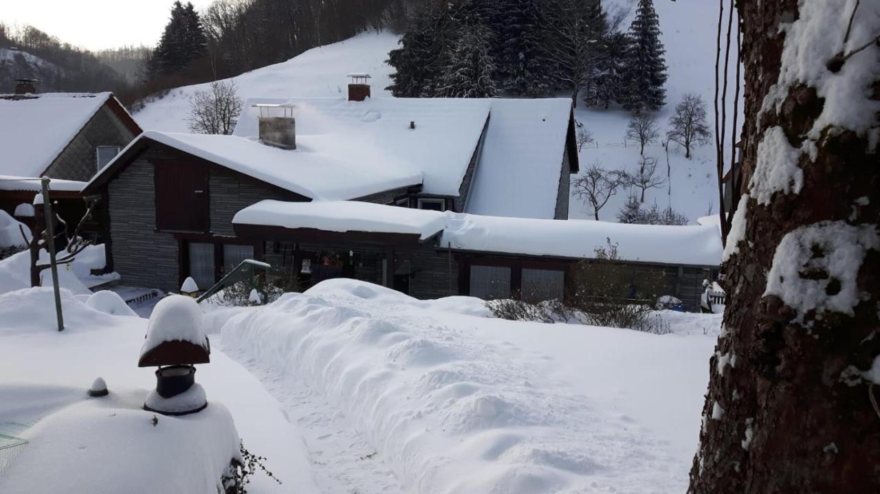 Haus Wiesenblick Walkenried Eksteriør billede